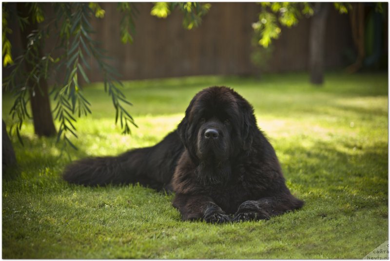 Фотография № 129146