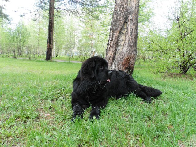 Фотография № 129171