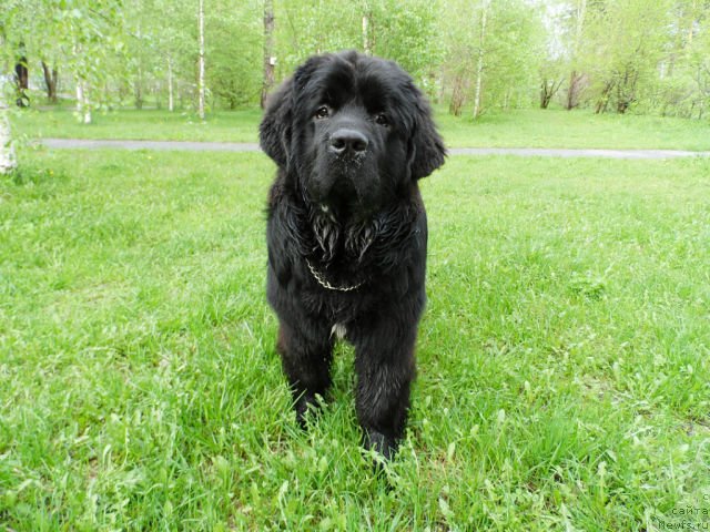 Фотография № 129173