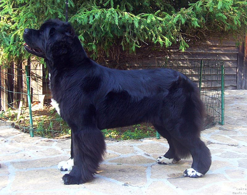 Фотография № 129187