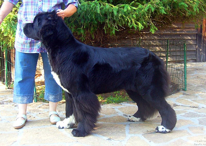 Фотография № 129190