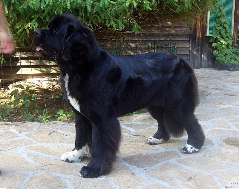 Фотография № 129195