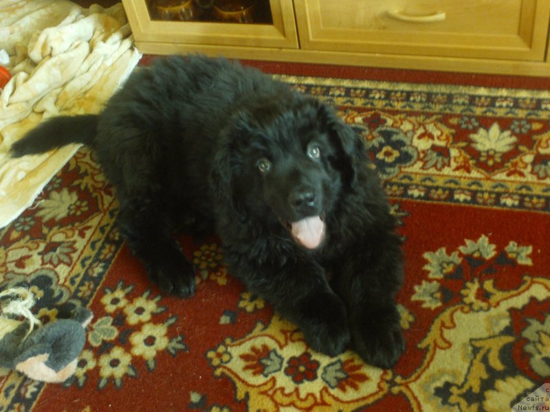 Фото: Анна Кузьмина