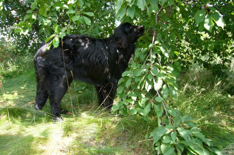Фото: Вера Гончарова