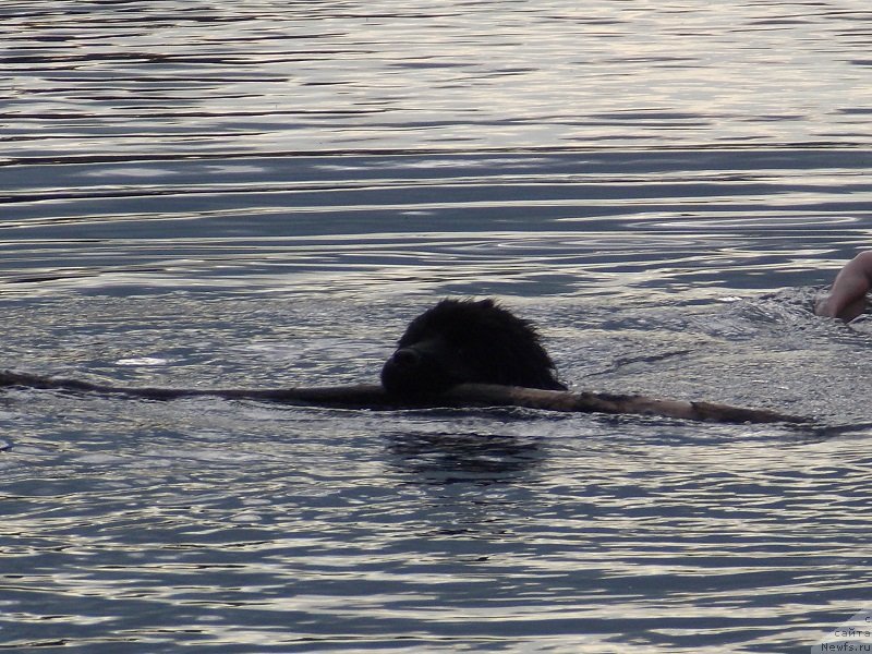 Фотография № 129330