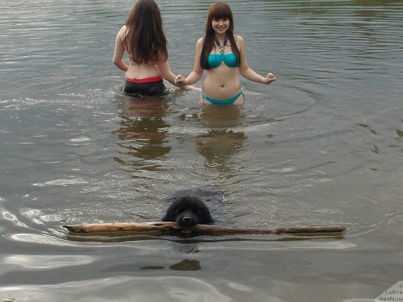 Фотография № 129333