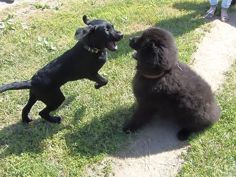 Фотография № 129336