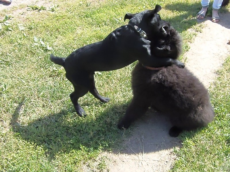 Фотография № 129337