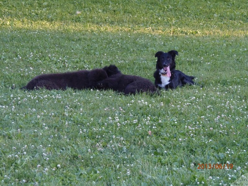 Фотография № 129338