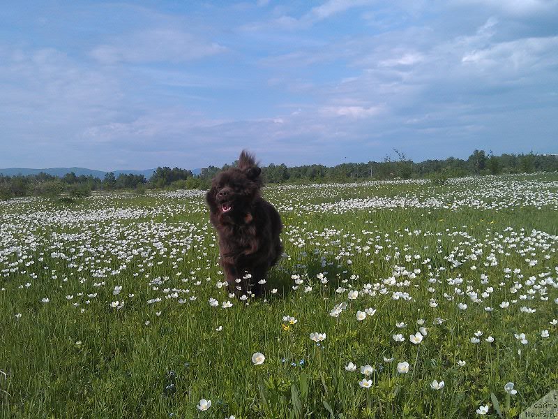 Фотография № 129416