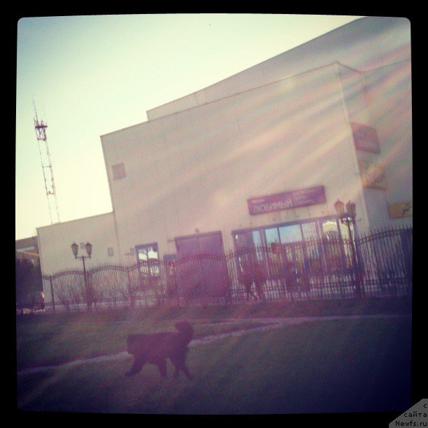 Фотография № 129417