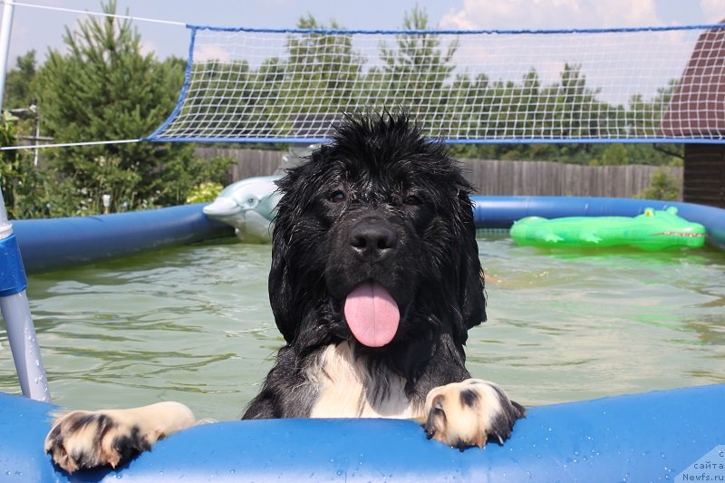 Фотография № 129425