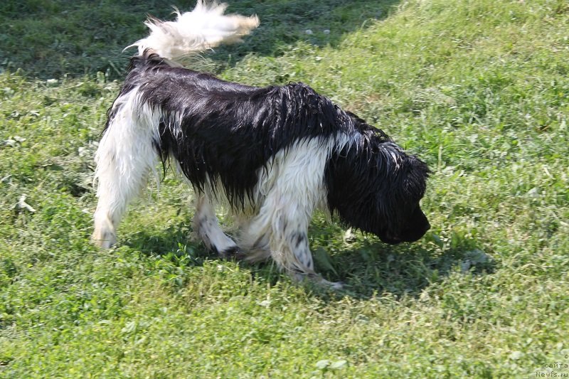 Фотография № 129433