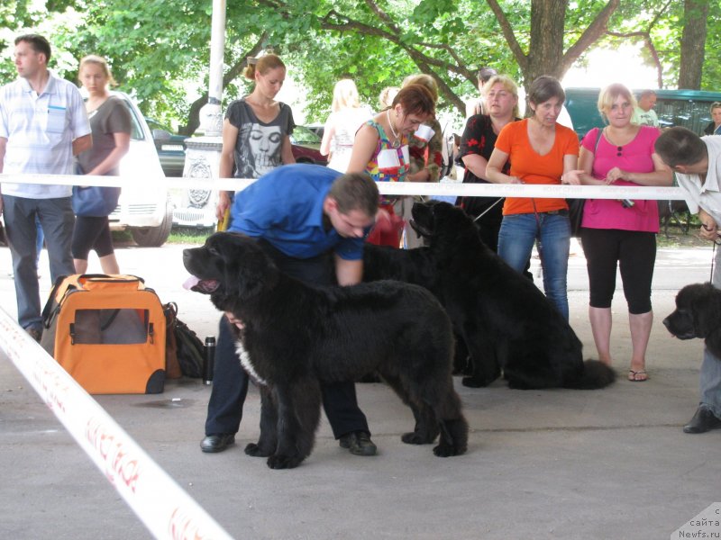 Фотография № 129434