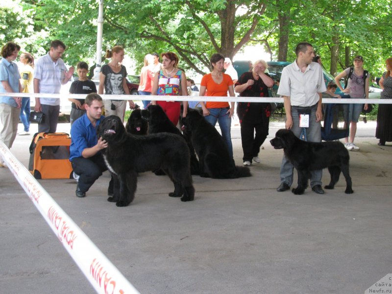 Фотография № 129435