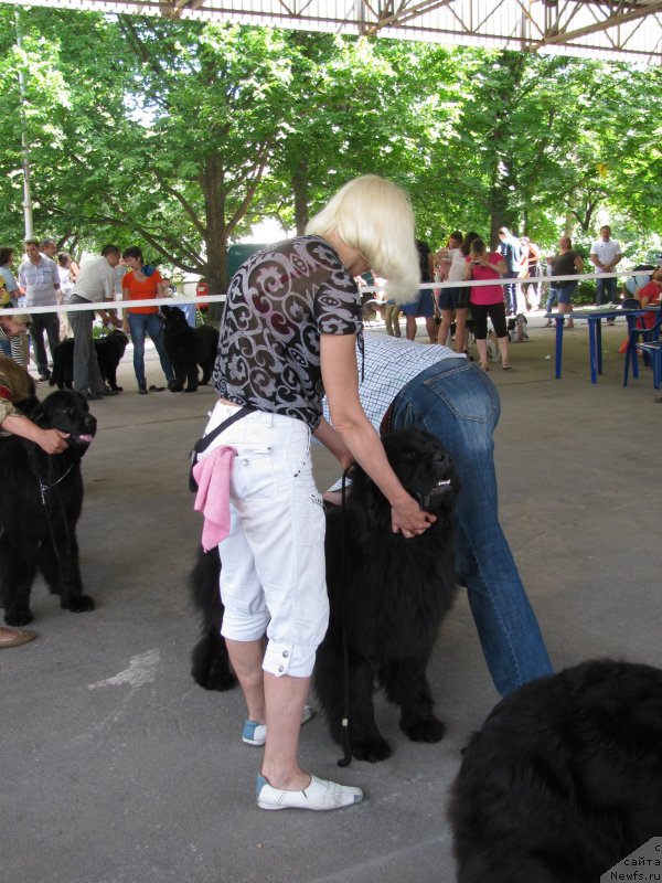 Фотография № 129437