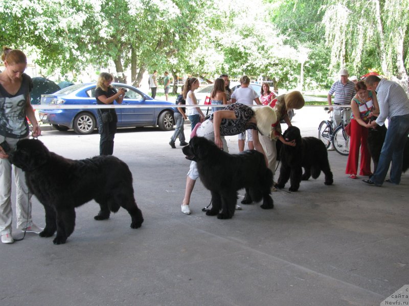 Фотография № 129438