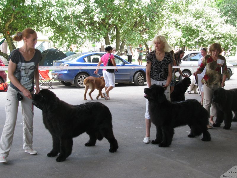 Фотография № 129439