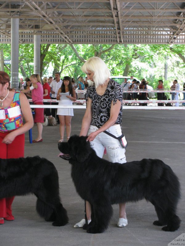 Фотография № 129443