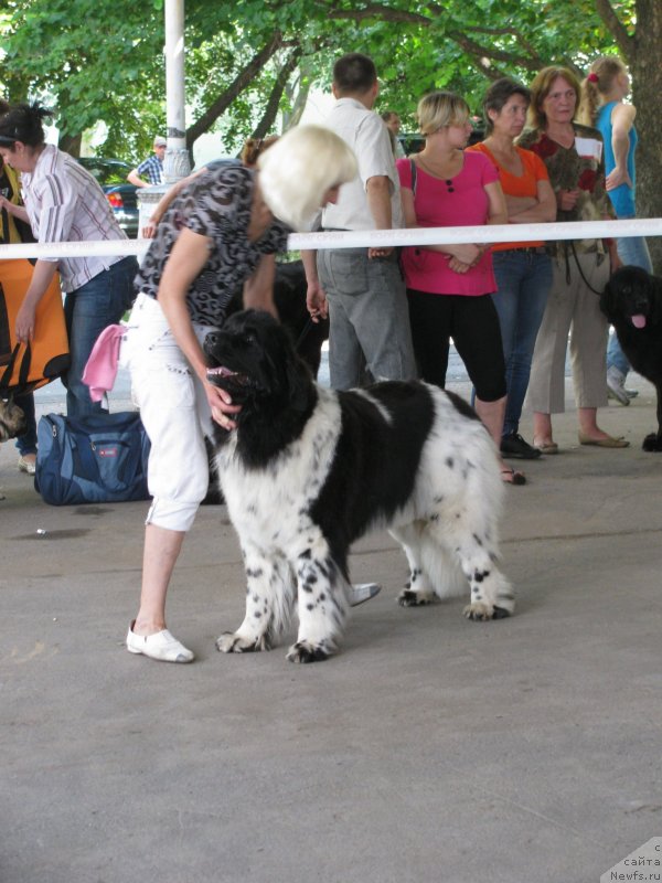 Фотография № 129444