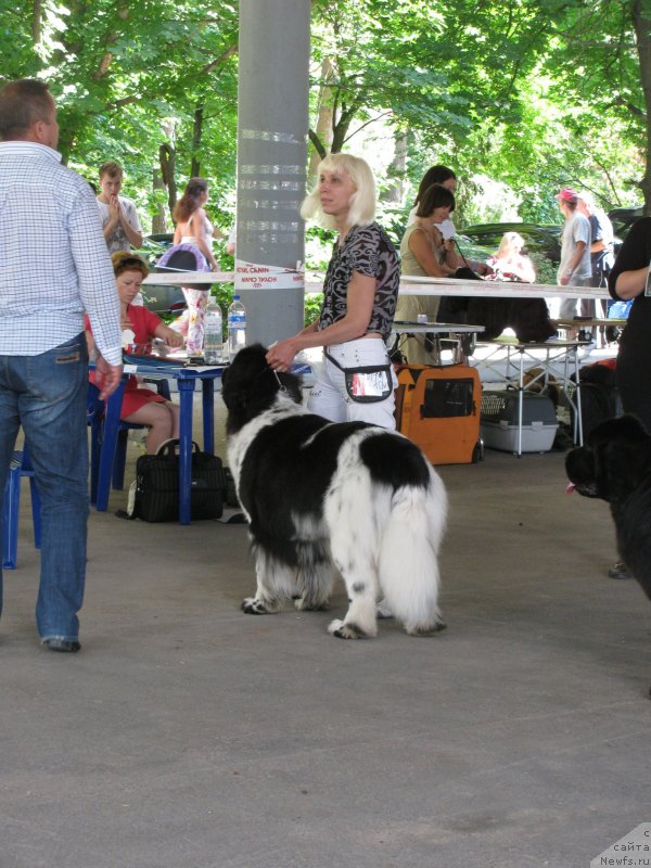 Фотография № 129455