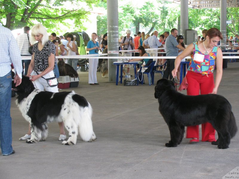 Фотография № 129456