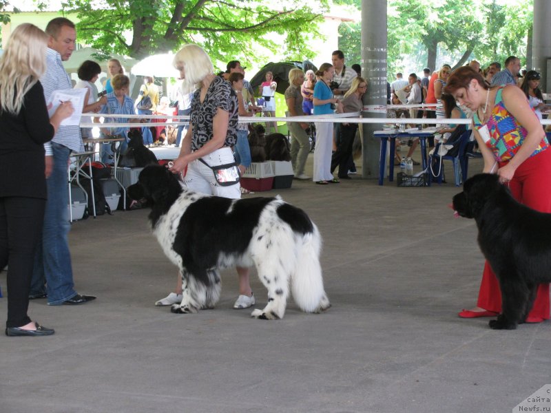 Фотография № 129457