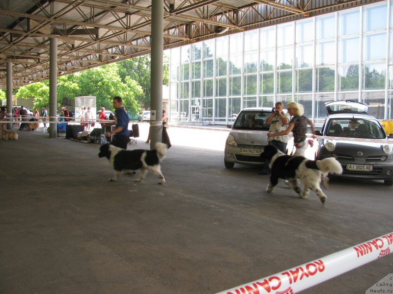 Фотография № 129460