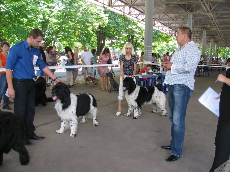 Фотография № 129462