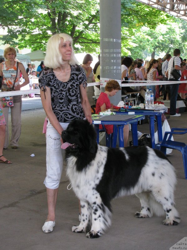 Фотография № 129467