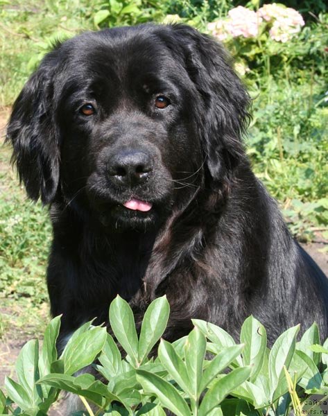 Фотография № 129491