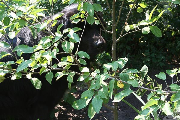 Фотография № 129492