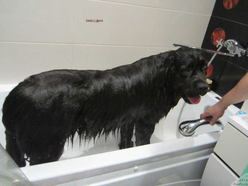 Фотография № 129506