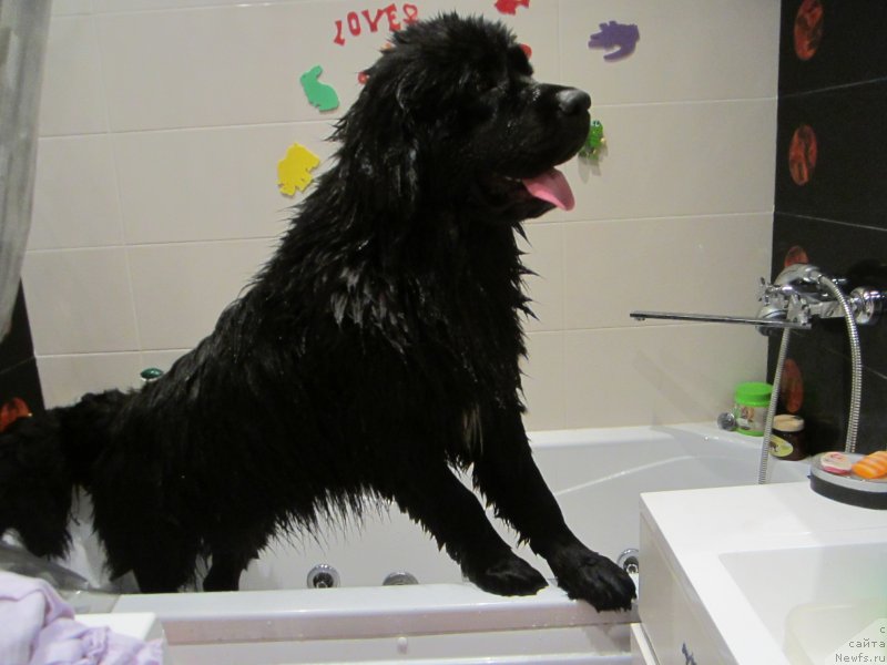 Фотография № 129507