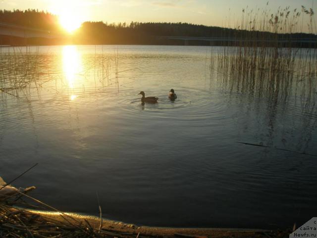 Фотография № 12953