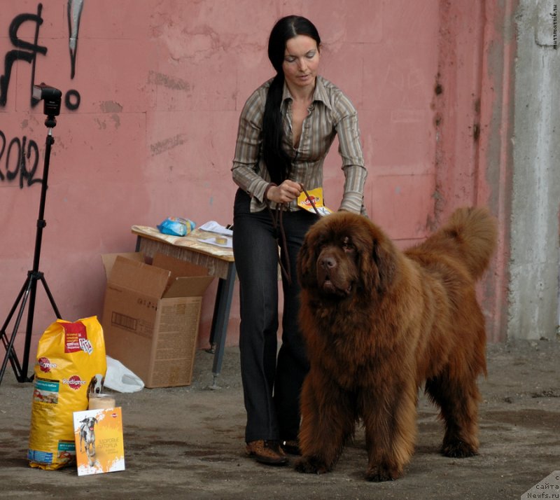 Фотография № 129534