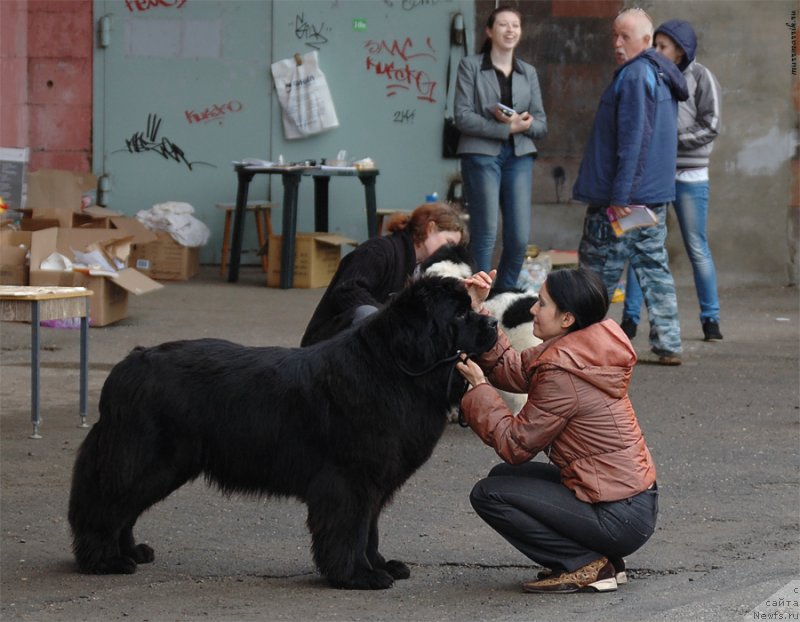 Фотография № 129537