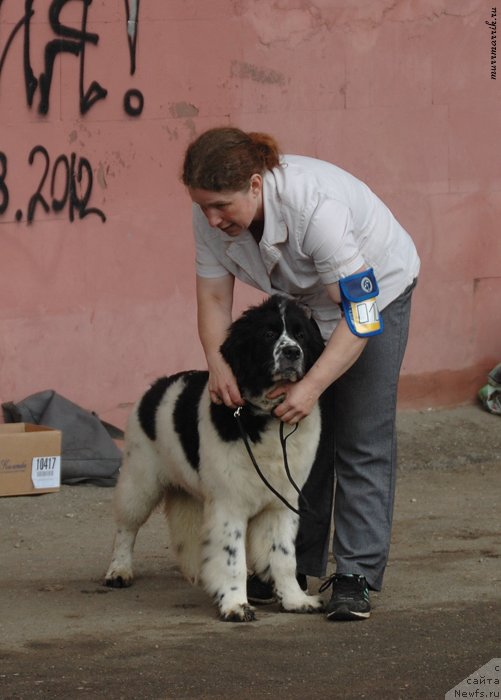 Фотография № 129539