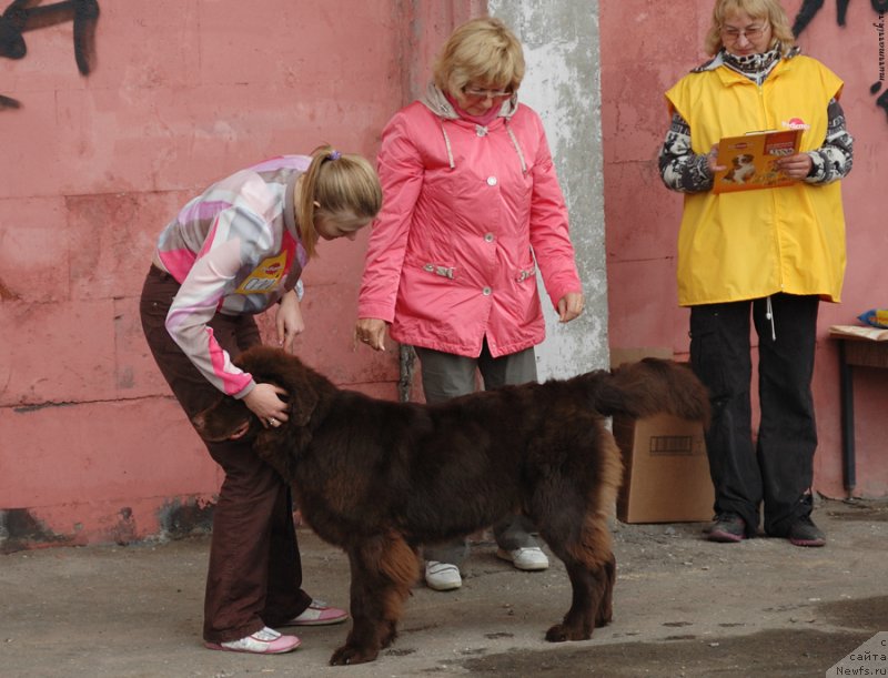 Фотография № 129540