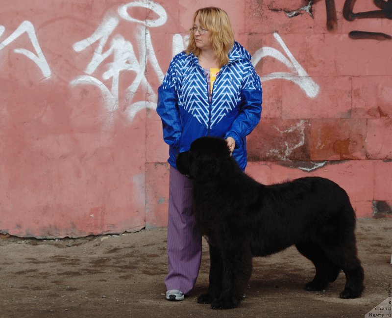 Фотография № 129541