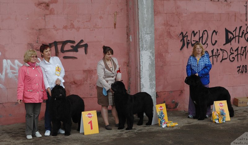 Фотография № 129542