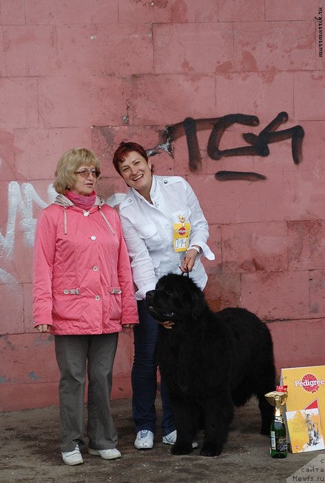 Фотография № 129543