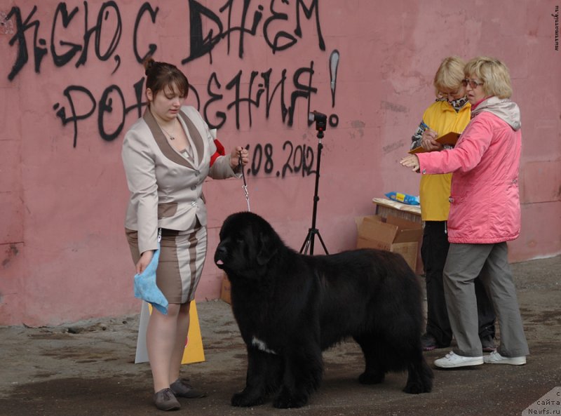 Фотография № 129545