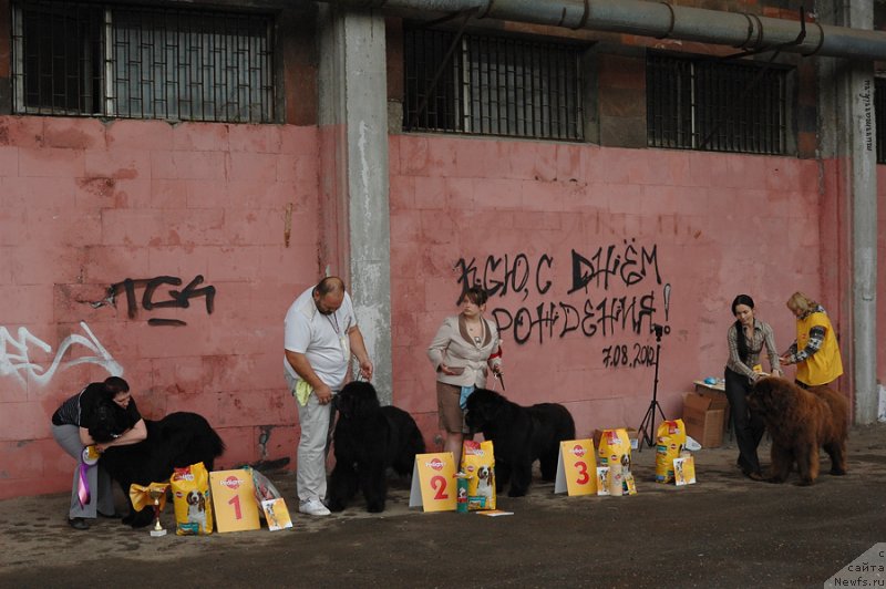 Фотография № 129546