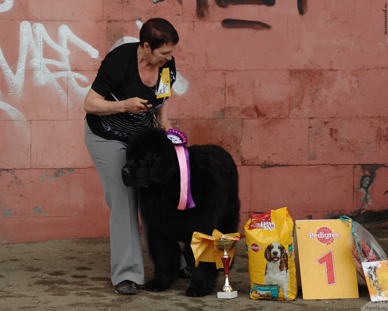 Фотография № 129547