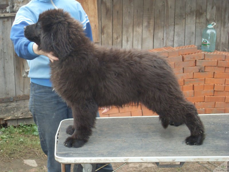 Фото: Наталия Витковская