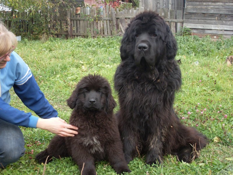 Фото: Наталия Витковская