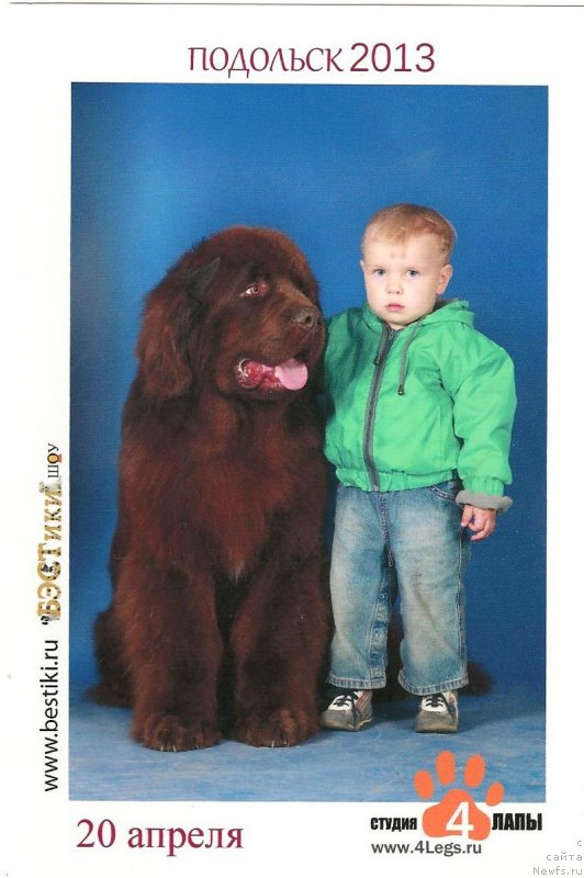 Фотография № 129574