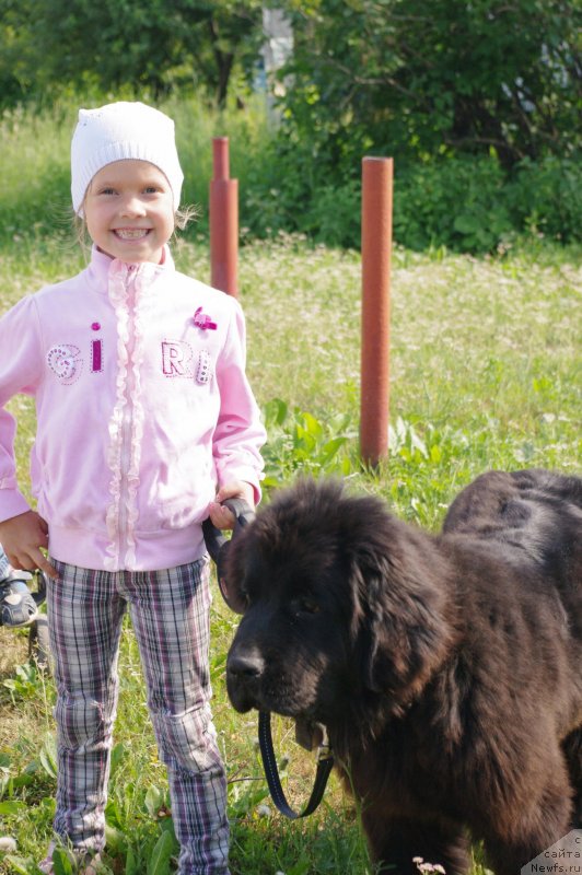 Фотография № 129627