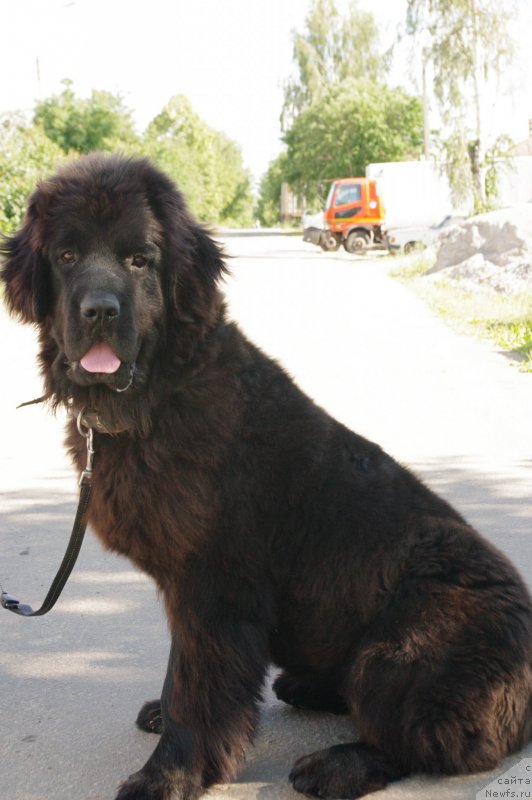 Фотография № 129633